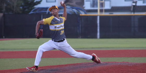 Diamond Dawgs Deliver Walk Off Blow to Lightning