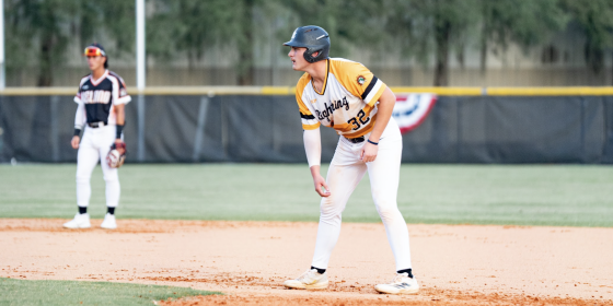 Leesburg's Come-Back Hopes Shattered in a 7-6 Loss to the Suns