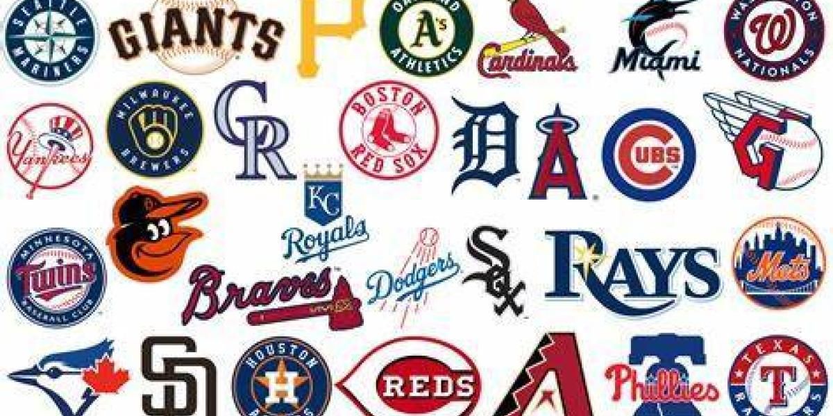 Leesburg's History with Professional Baseball