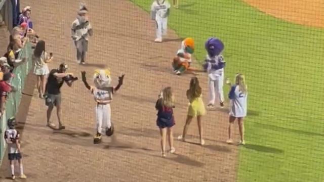 Striker Wins Mascot Race!
